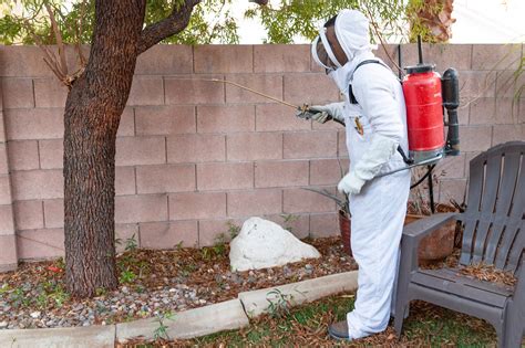 bee removal las vegas